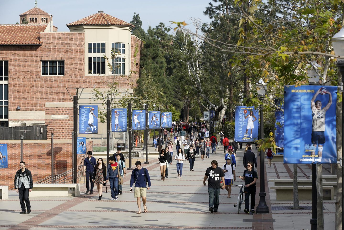 Corrected research center report finds 5.5% more college freshmen enrolled last fall