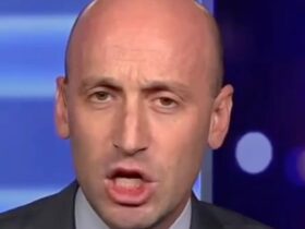 Critics Rip Stephen Miller Over Hypocritical Claim About 'The Law'