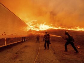 Firefighters continue to battle three blazes in Los Angeles and Ventura County, California