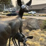 Man says he was behind some of the viral googly eyes on public art in Oregon