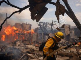 Palisades Fire cost Los Angeles at least $350m and costs ‘will likely grow’