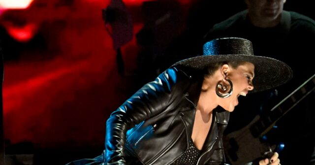 Pop Star Pink Shouts Out 'Every Other Gender that Absolutely Exists' at FireAid Benefit Concert
