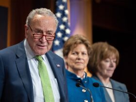 Schumer supports Democrats delaying all Trump nominees that lack unanimous support