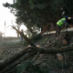 Storm Eowyn Leaves a Third of Ireland Without Power