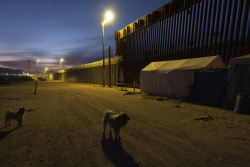 Trump's Border Orders Are Reversing Migrant Crisis