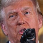 Trump's New FTC Chair Blasted For Targeting DEI Programs