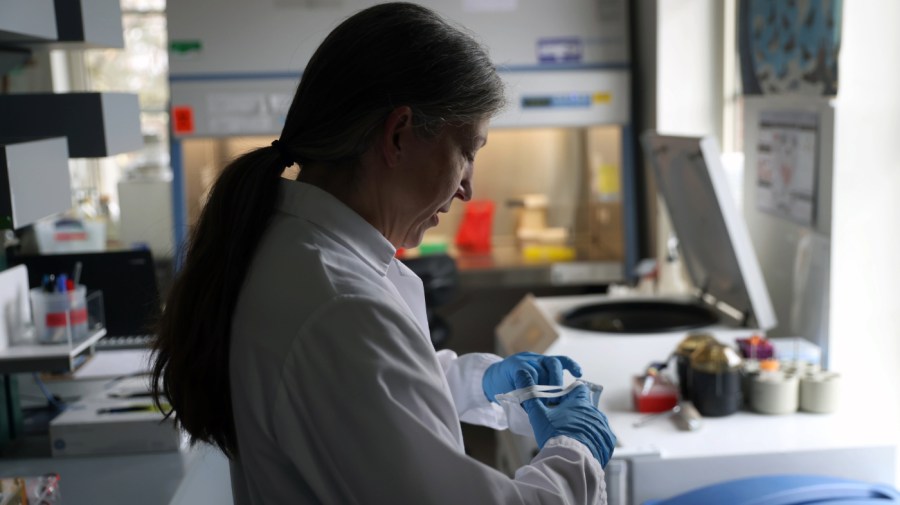 Trump’s freeze on science grants will delay lifesaving cures and cost jobs