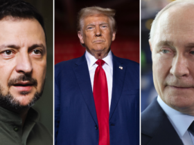 Zelenskyy praises Trump for 'just and fair' rhetoric toward Russia