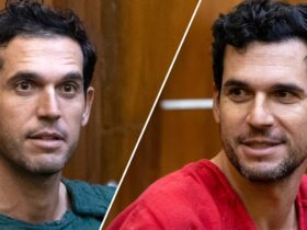 Alexander brothers' alleged victims recount terrifying attacks
