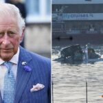 King Charles says 'our hearts' with US after 'devastating loss of life' in DC plane crash