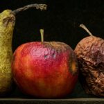 Not too hard, not too soft, rotting fruit is just right