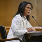 The Senate's Tulsi Gabbard Test