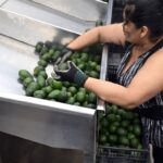Trump imposes new tariffs on imports from Mexico, Canada and China : NPR