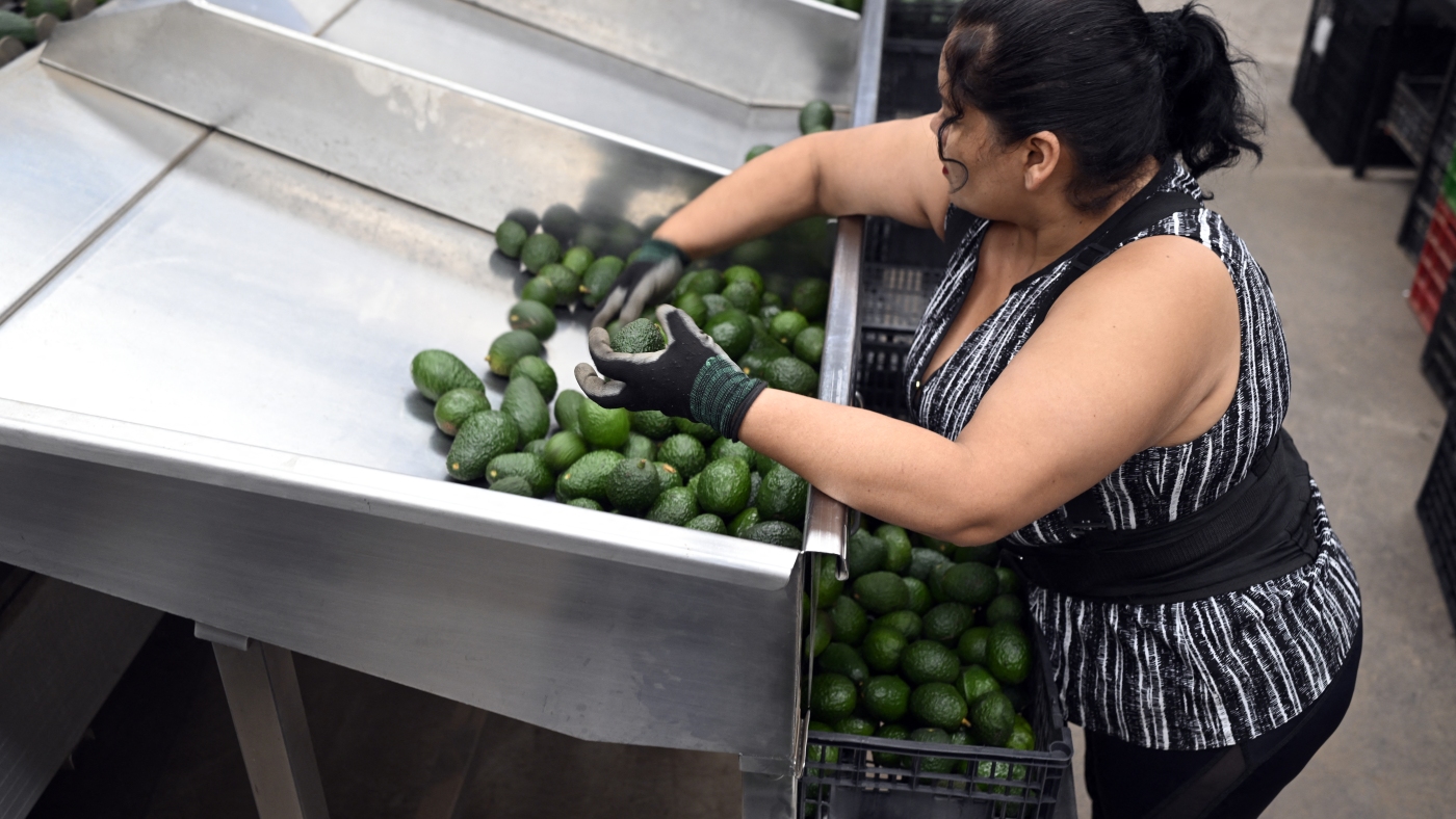 Trump imposes new tariffs on imports from Mexico, Canada and China : NPR