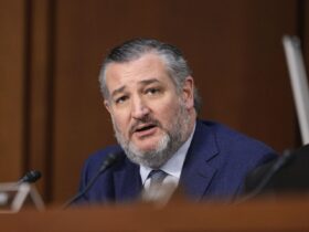 Trump's 'wild proposal' to acquire Greenland gets some traction on Capitol Hill
