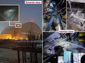 Ukraine-Russia war latest: Chernobyl hit by drone attack as Zelensky warns Putin plotting war on Nato allies