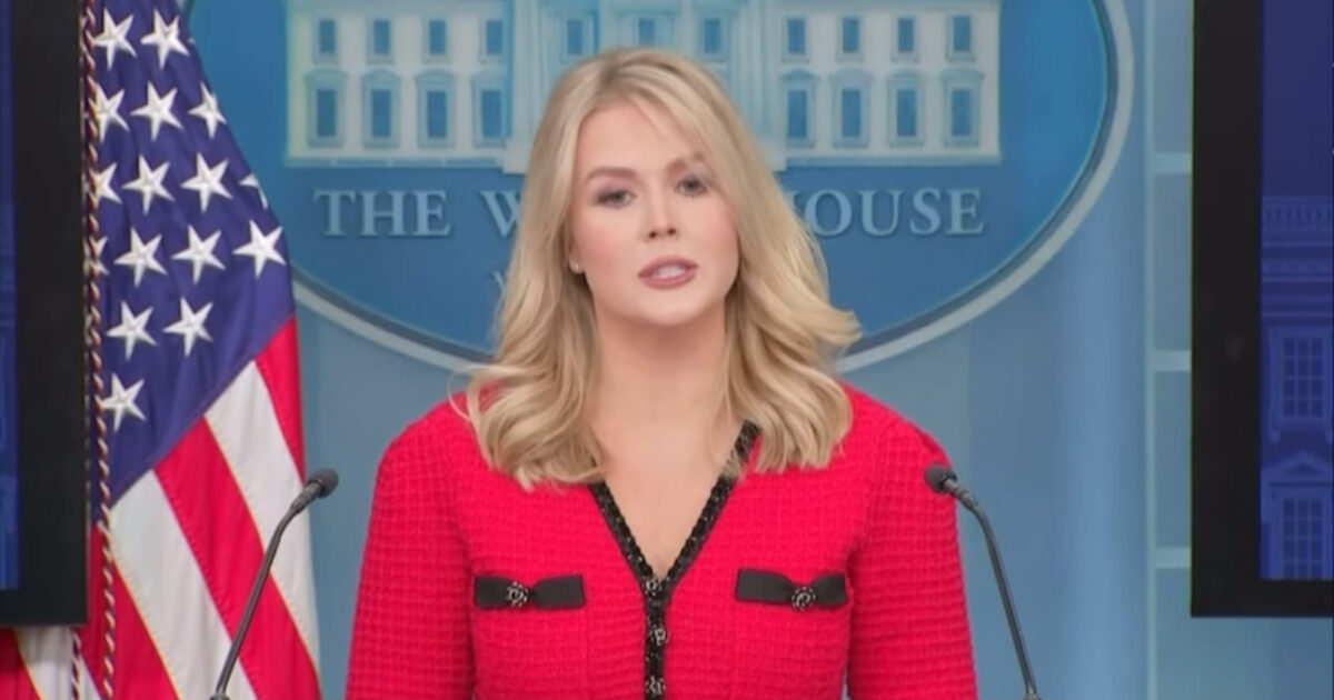 WATCH: Karoline Leavitt Makes Incredible Case for Terminating DEI in Airplane Safety | The Gateway Pundit