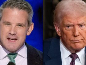 Adam Kinzinger Dares Trump To Arrest Him: 'Stop Pretending Like You're Tough'