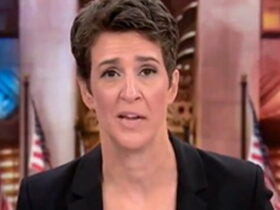 BRUTAL: MSNBC's Rachel Maddow Has Lost Roughly a Quarter of Her Audience Since the 2024 Election | The Gateway Pundit