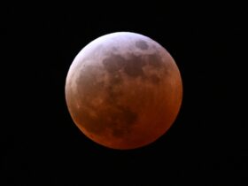 Blood moon lunar eclipse is marveled by sky gazers across the U.S. : The Picture Show : NPR