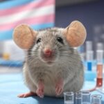 Bureaucrats Defy Trump’s Cuts: Nearly 40 Transgender Animal Experiments, $400M in Tax Dollars, Still Active | The Gateway Pundit