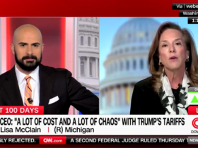 CNN host scoffs as Rep. Lisa McClain accuses him of 'fearmongering' over tariffs