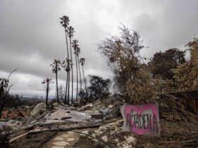 California regulator mulls State Farm's request for 22% premium hike for homeowners after LA fires