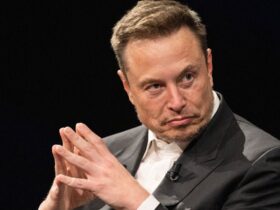 Democrats' 3-Word Burn Aimed At Elon Musk Is Petty In The Perfect Way