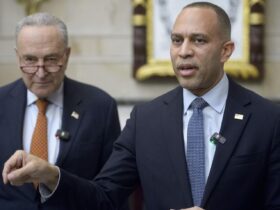 Democrats descend into chaos as they scramble to find right leader, message after funding bill vote