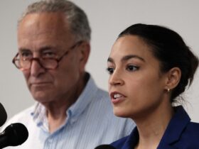 Dems speak out against Schumer after his announcement regarding upcoming vote