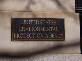 EPA workers silenced as agency cancels hundreds of grants