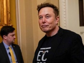 Elon Musk and the Freedom Conservatives