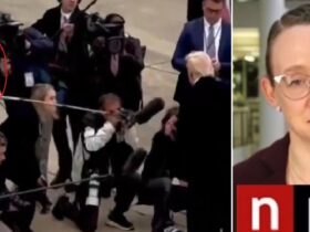 Far-Left NPR Reporter Who Hit Trump in the Face with Boom Mic Goes Radio Silent | The Gateway Pundit