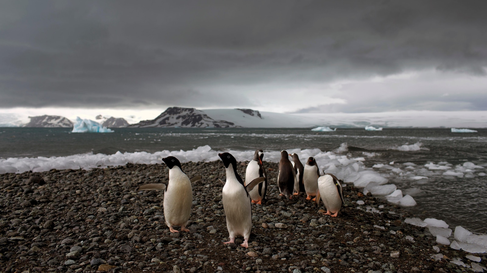 Fear at isolated Antarctica base as man accused of attacking colleague, threats