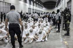 Flying Court Orders: District Judge Made Bad Call on Illegal Gangs