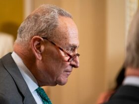 Grassroots Democratic group calls for Schumer to resign as minority leader