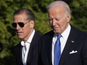 Hunter Biden IRS whistleblowers promoted at Treasury