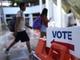 Illegal immigrant pleads guilty to voting, having gun