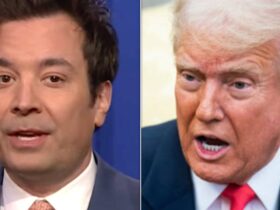 Jimmy Fallon Proves Trump Still Needs Education Department With Sharp One-Liner