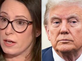 Maggie Haberman Exposes Hypocrisy In Musk’s Reported New Trump Play