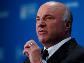 Mr. Wonderful on 'excitement' around cryptocurrency under Trump: In a 'new phase'