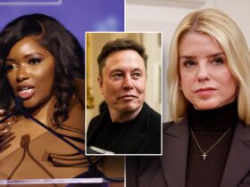 Pam Bondi warns progressive Dem to 'tread carefully' on Elon Musk rhetoric