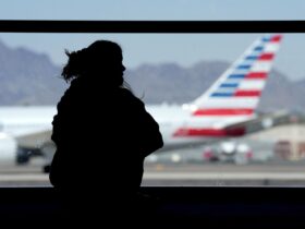 Passengers evacuated after American Airlines plane catches fire at Denver airport