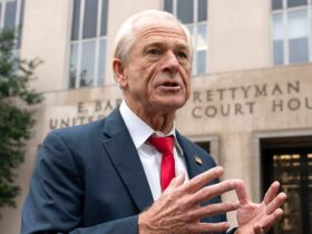 Peter Navarro tells reporter to 'stop that crap' about Trump tariff rhetoric