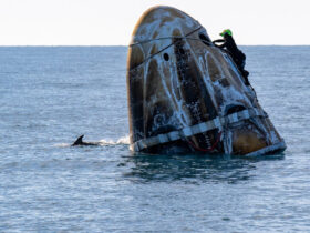 Pod of Dolphins Greets NASA Astronauts After Splashdown