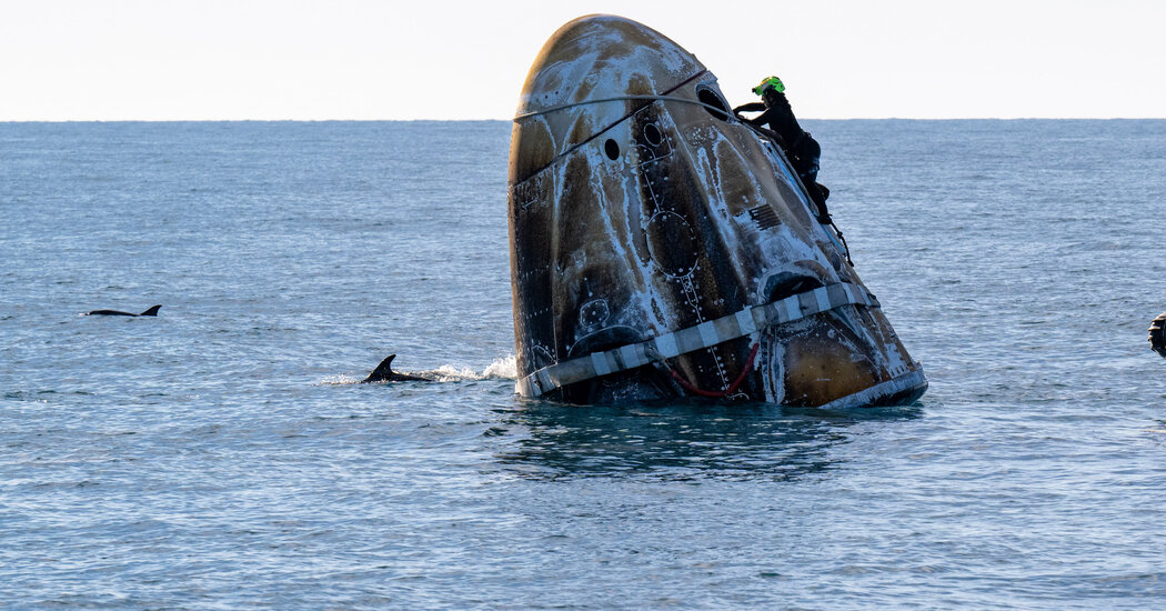 Pod of Dolphins Greets NASA Astronauts After Splashdown