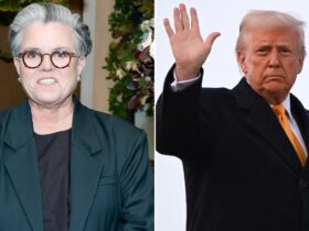 Rosie O'Donnell leaves US after Trump win