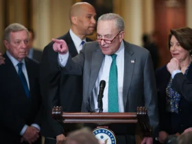 WASHINGTON, DC - MARCH 11: Senate Minority Leader Chuck Schumer (D-NY) speaks during a press conference following a policy luncheon at the U.S. Capitol on March 11, 2025 in Washington, DC. Schumer answered a range of questions during the press conference. (Photo by Win McNamee/Getty Images)