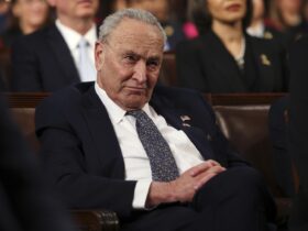 Schumer postpones book events amid security concerns, resignation calls