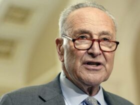 Schumer votes to keep government open